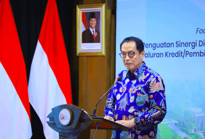 Kepala Eksekutif Pengawas Perbankan OJK Dian Ediana Rae